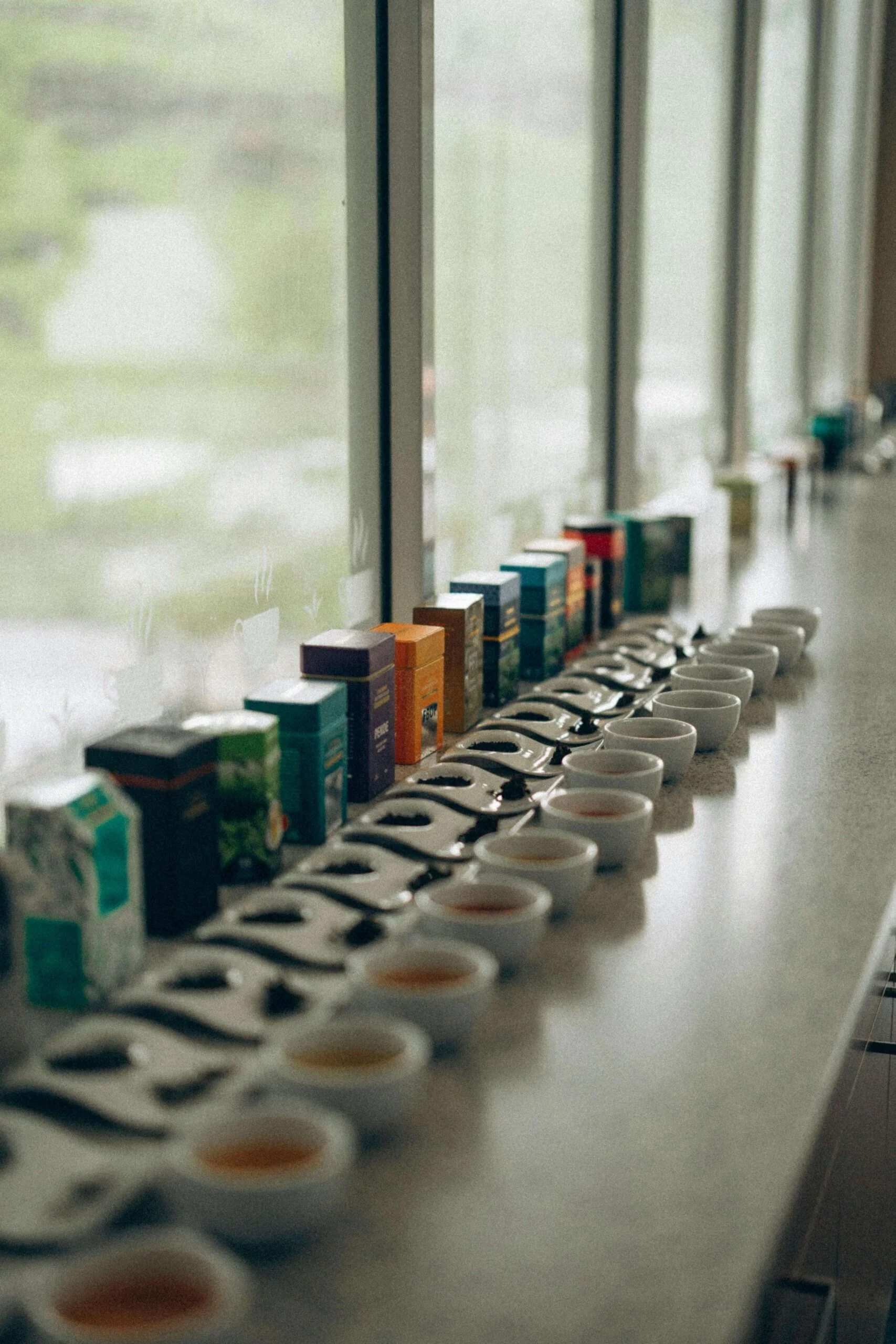 tea srilanka testing lankaawo travels factory scaled